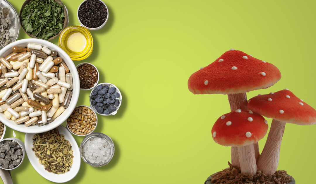 Mushroom Gummies: Legitimate Way to Improve Health or Passing Health Fad?